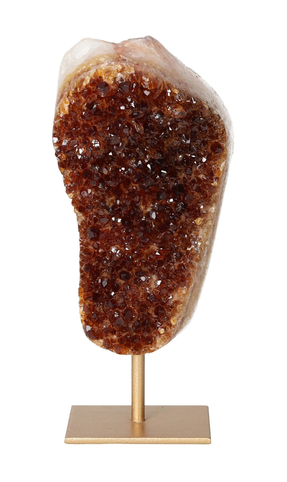 orbitvu|type:image2d