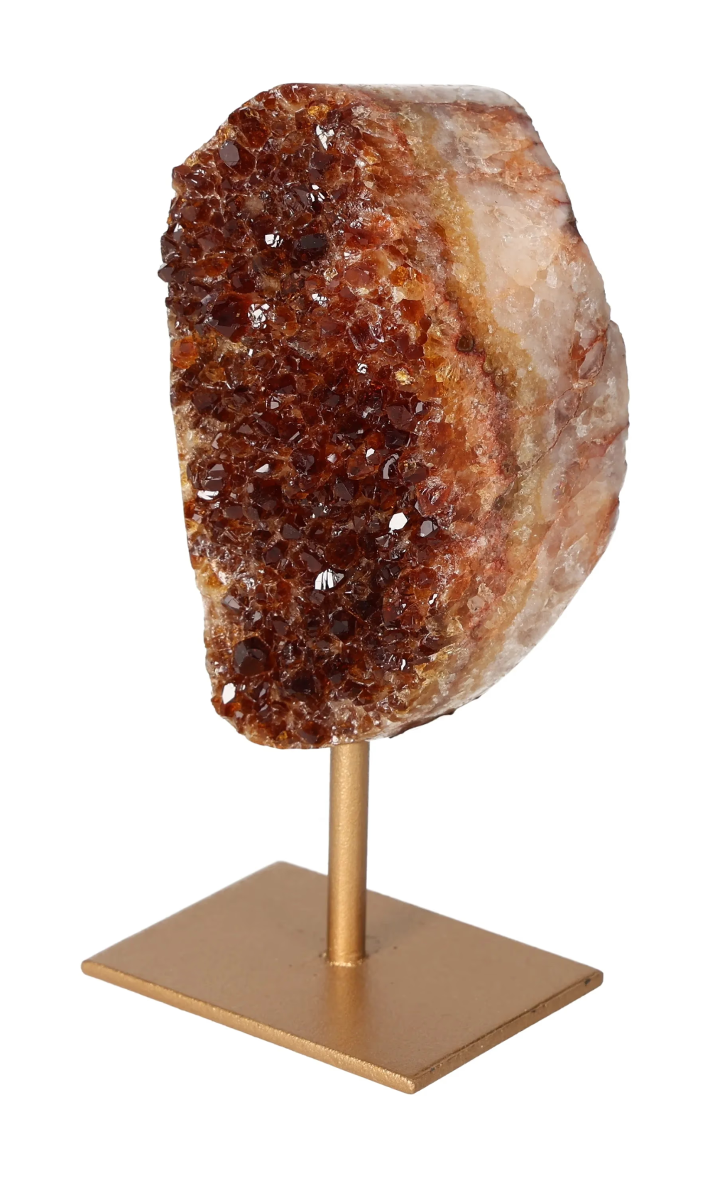 orbitvu|type:image2d