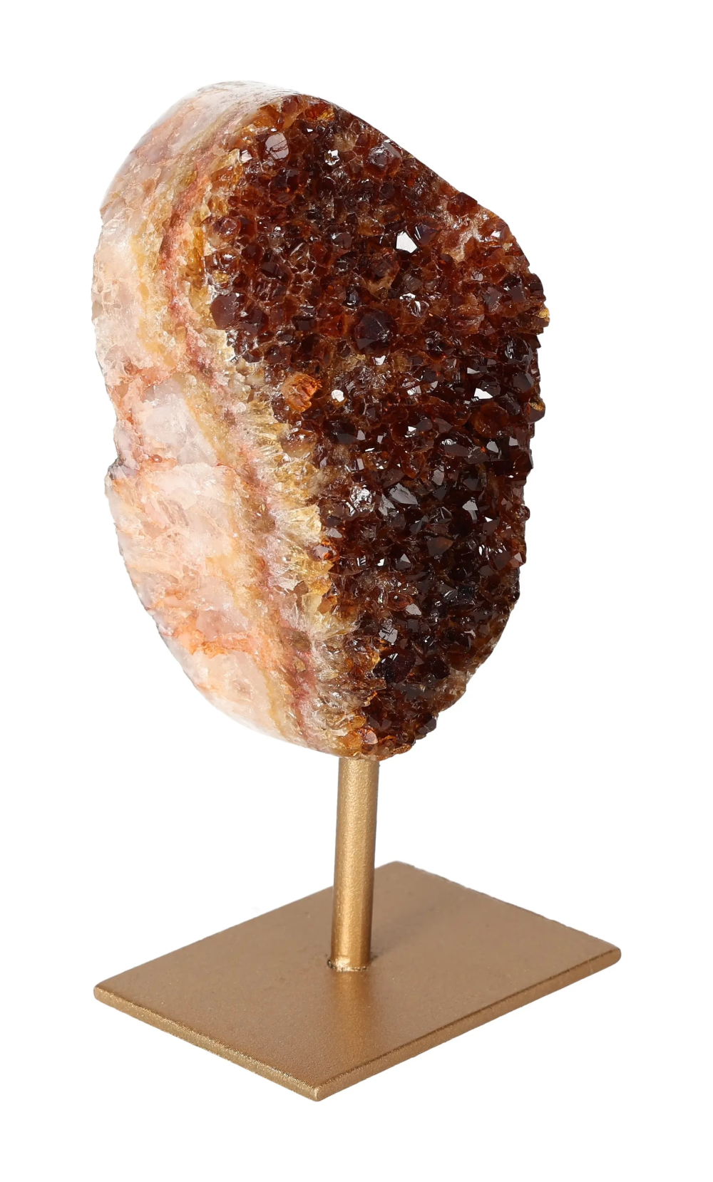 orbitvu|type:image2d