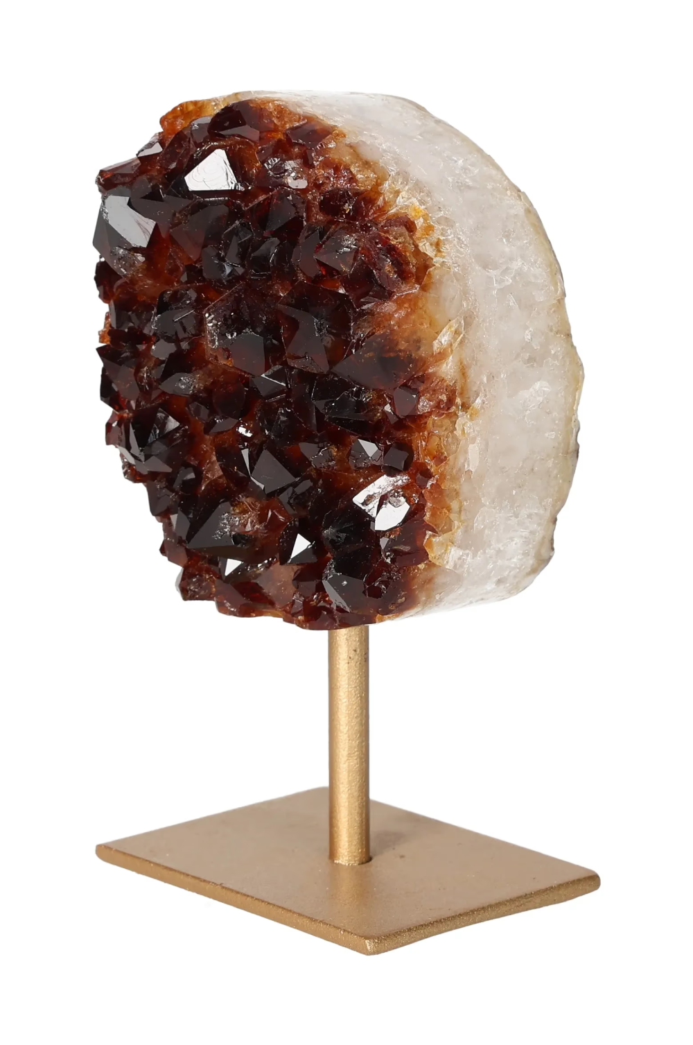 orbitvu|type:image2d