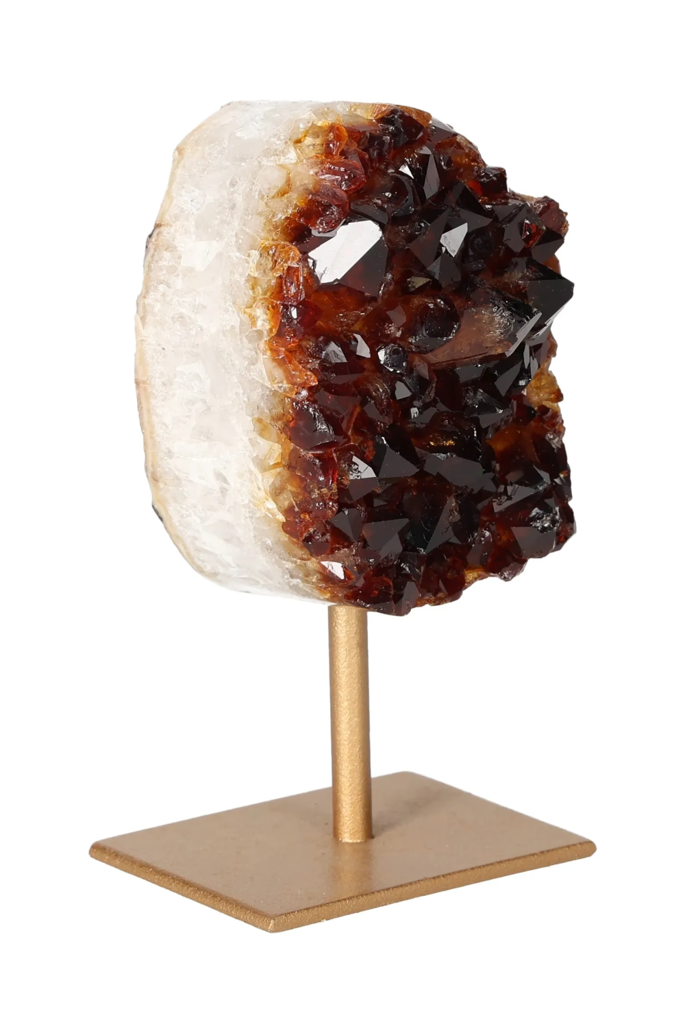 orbitvu|type:image2d