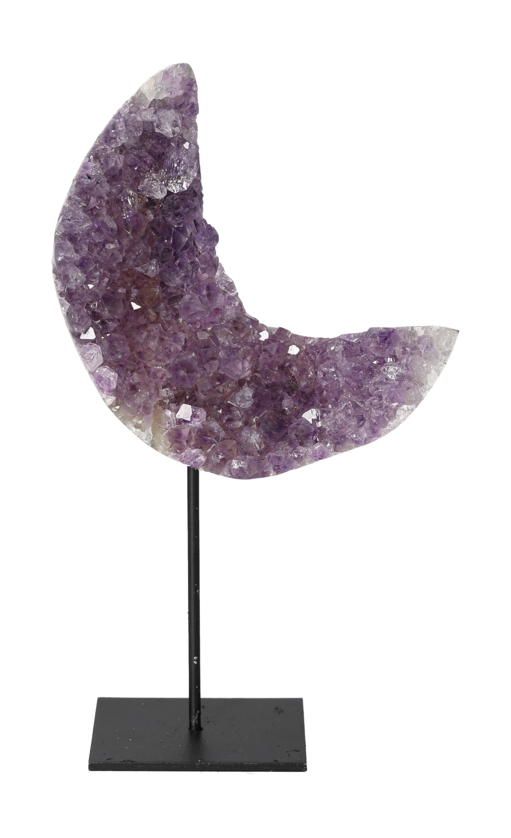 orbitvu|type:image2d