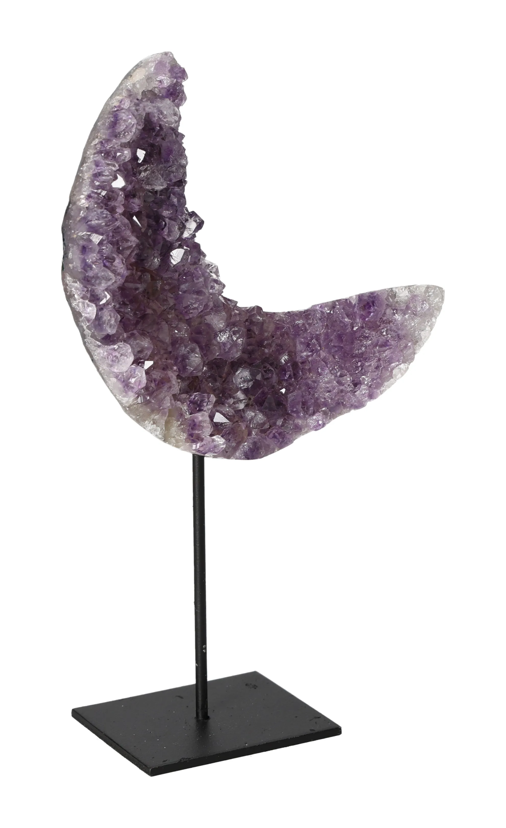 orbitvu|type:image2d