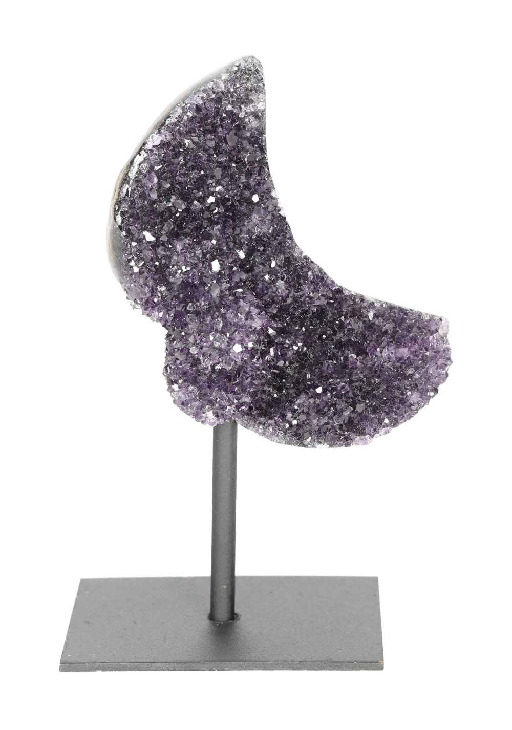 orbitvu|type:image2d