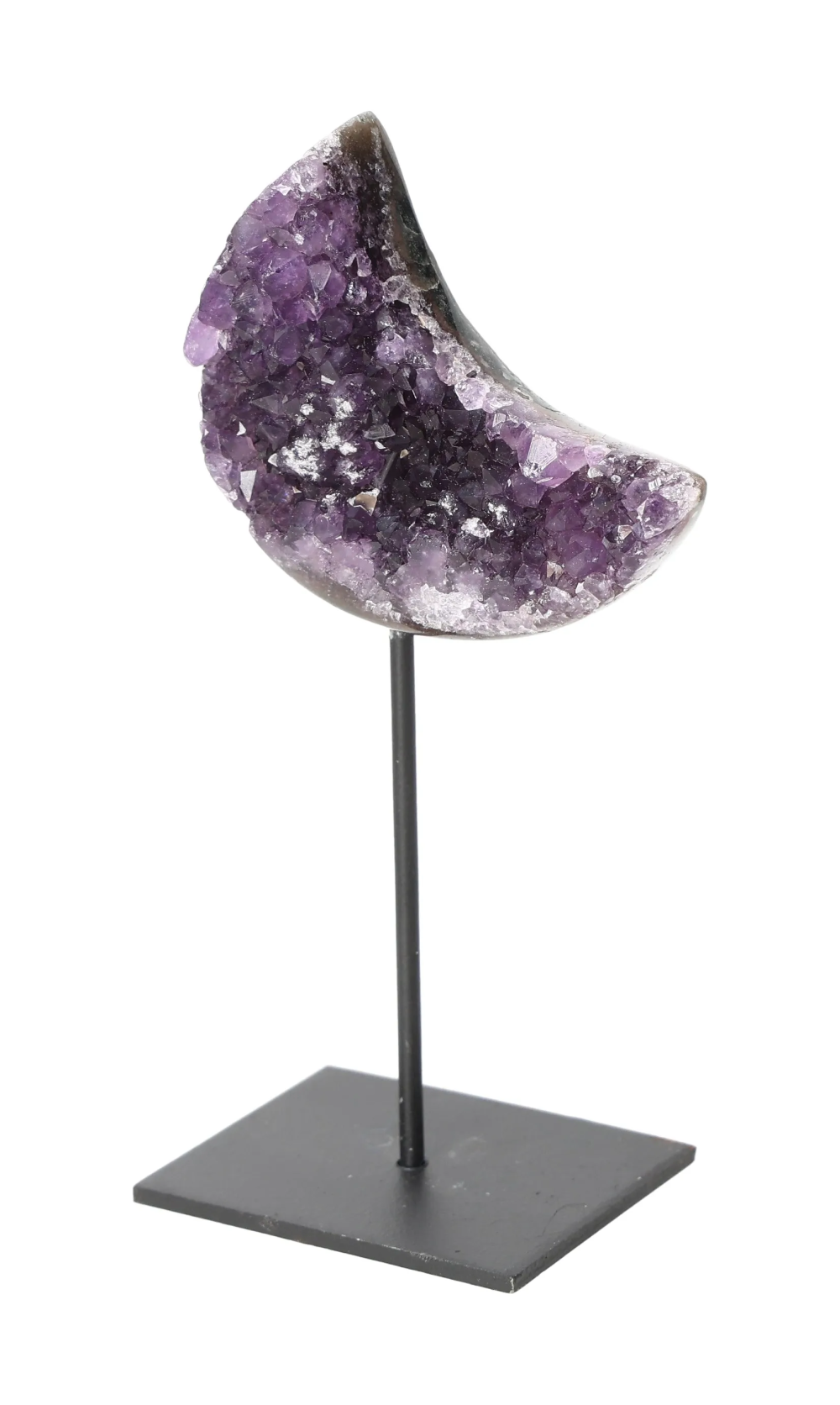 orbitvu|type:image2d