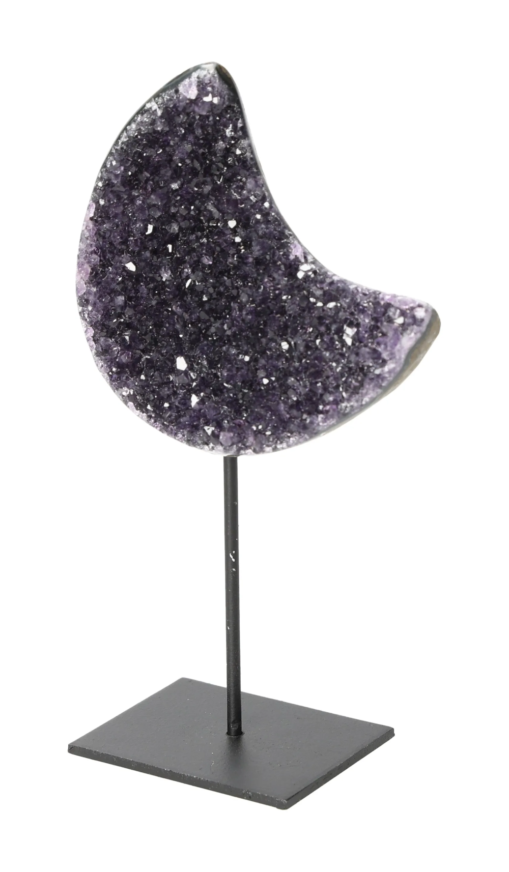 orbitvu|type:image2d