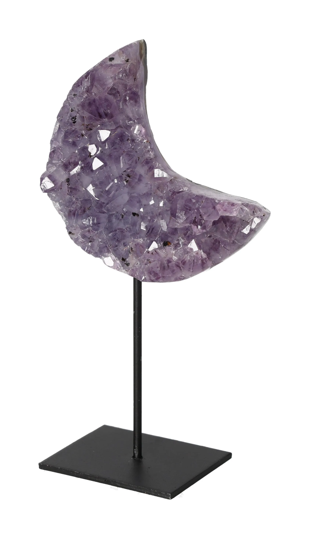 orbitvu|type:image2d