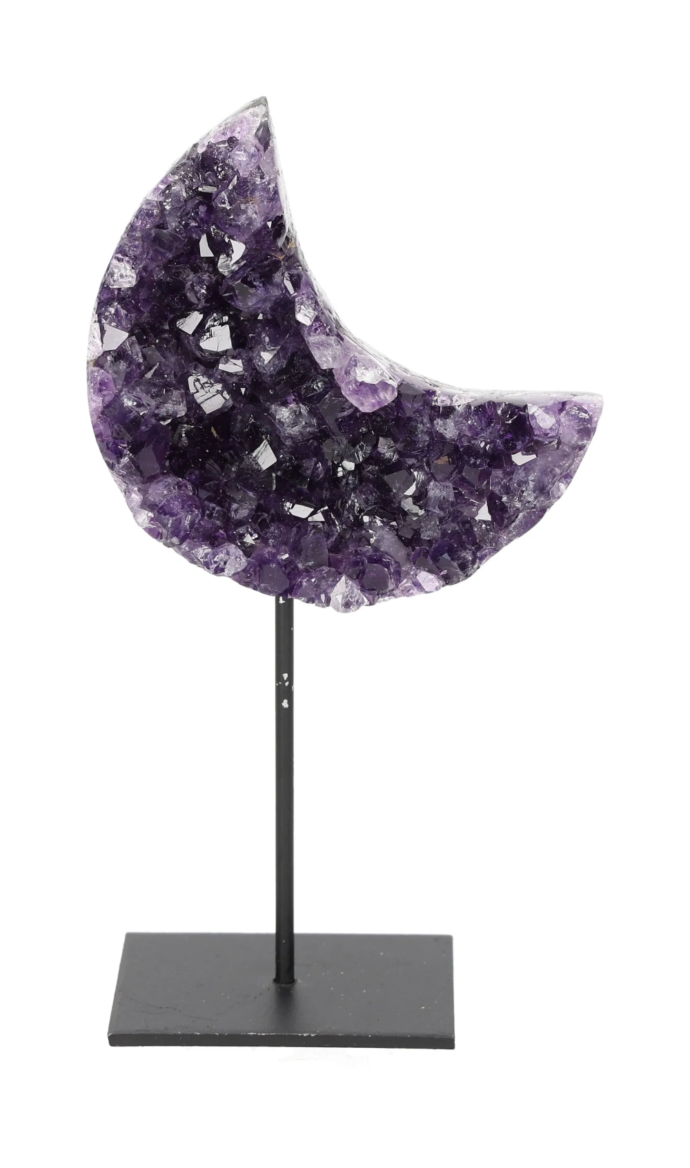 orbitvu|type:image2d