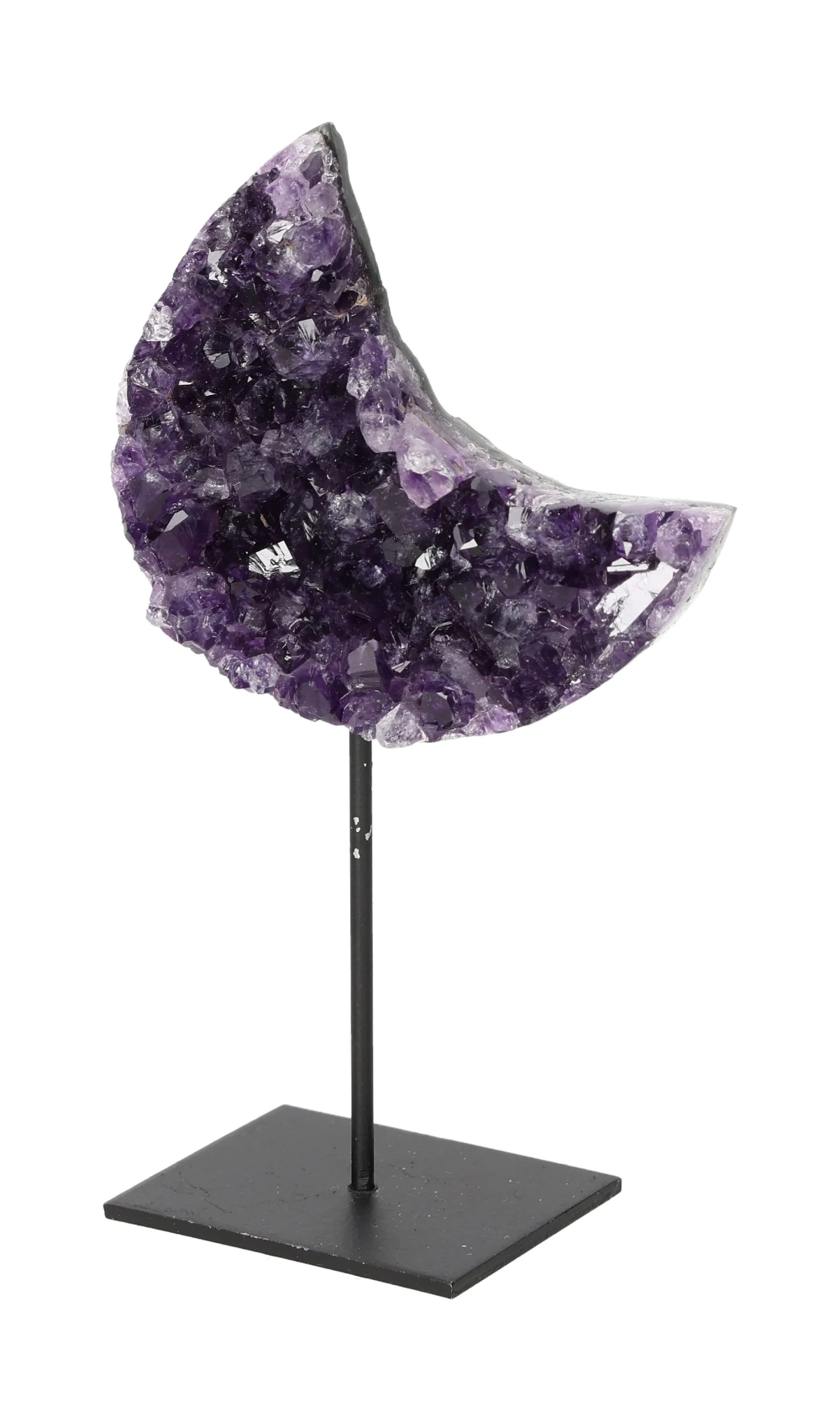 orbitvu|type:image2d