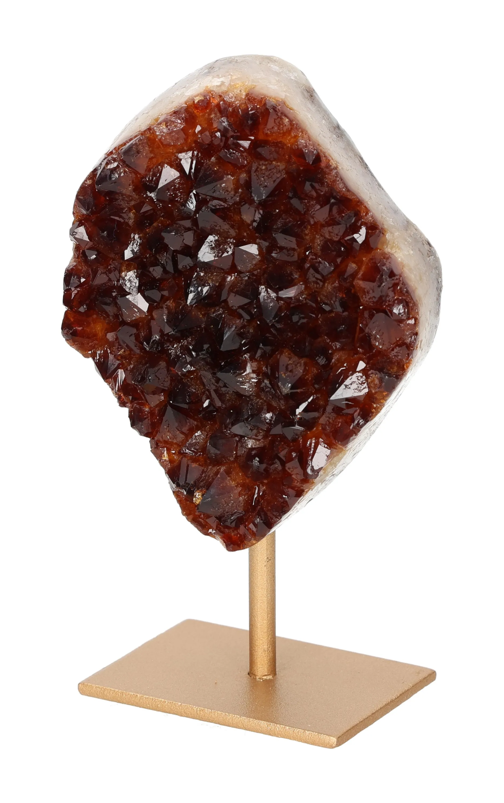 orbitvu|type:image2d