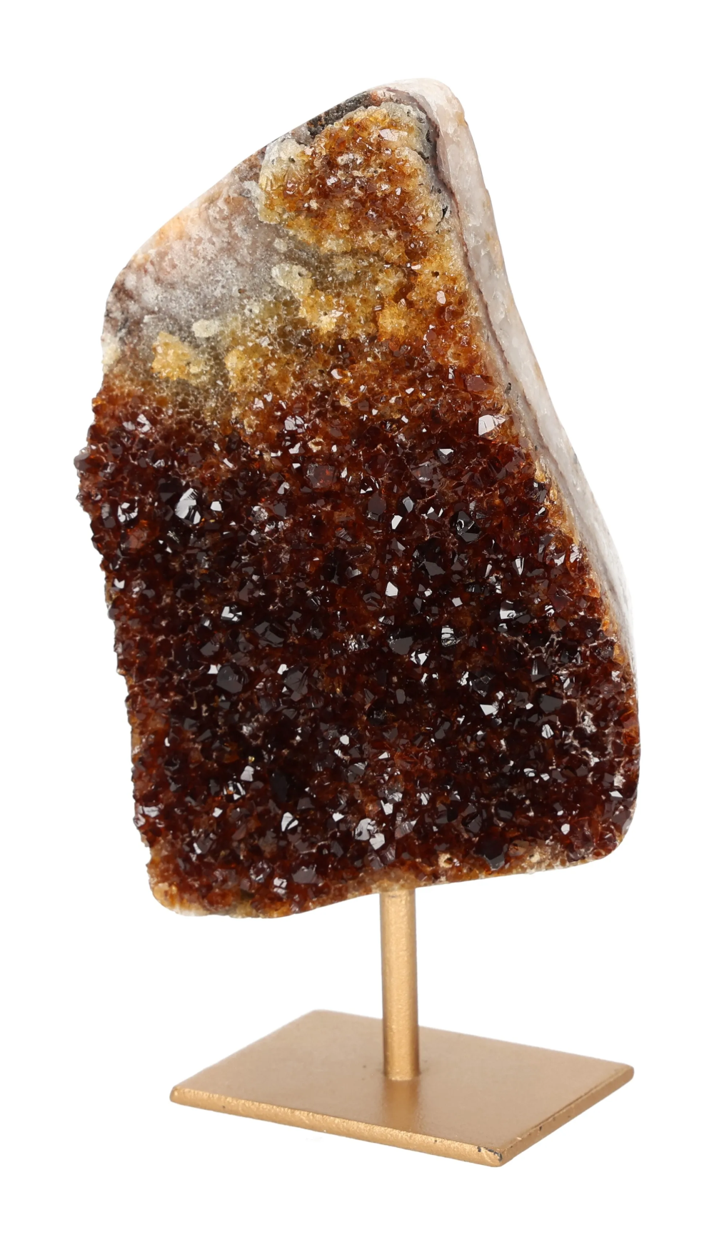 orbitvu|type:image2d