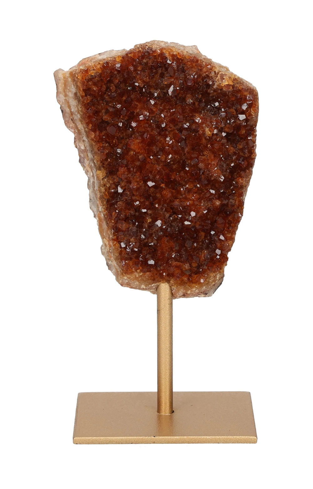 orbitvu|type:image2d