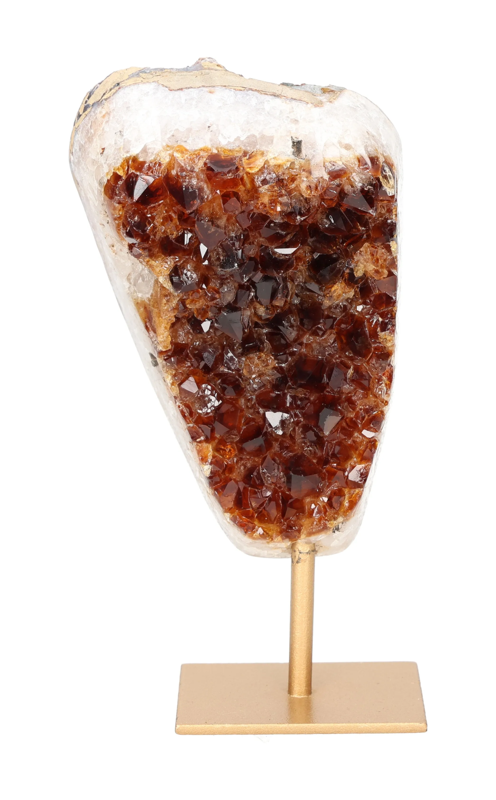 orbitvu|type:image2d