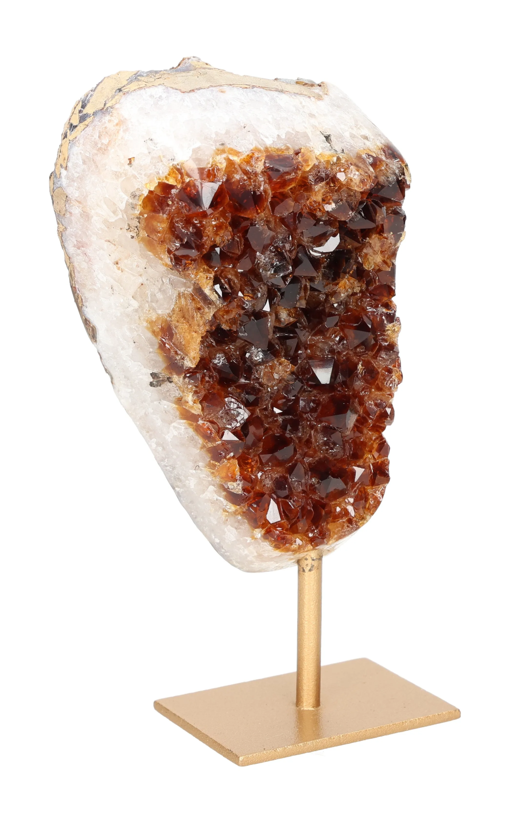 orbitvu|type:image2d