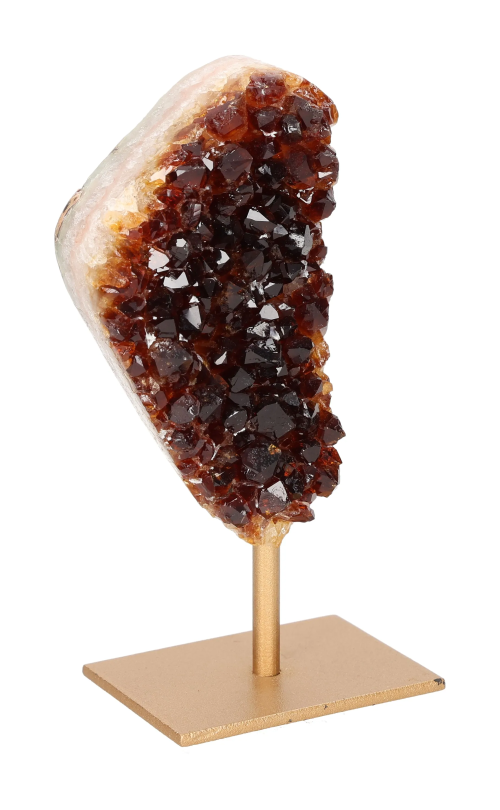 orbitvu|type:image2d