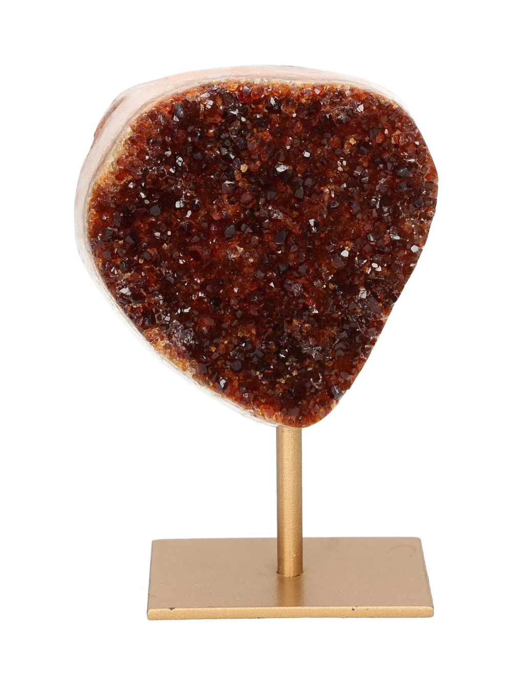 orbitvu|type:image2d