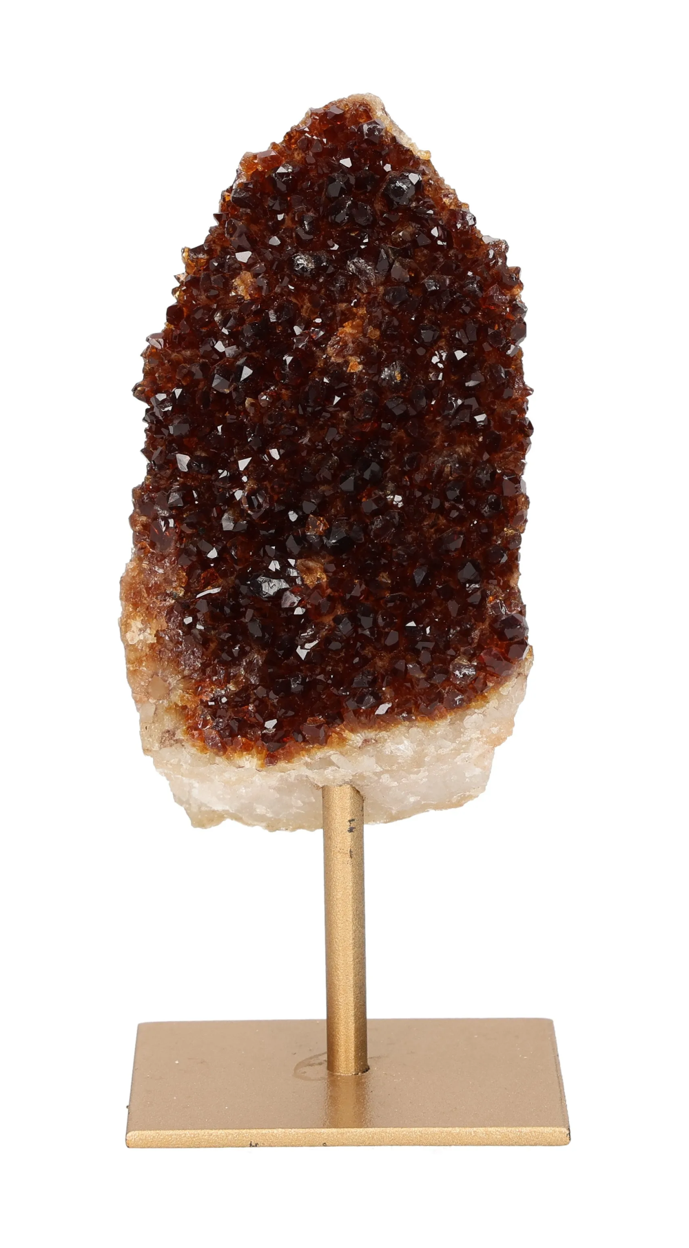 orbitvu|type:image2d