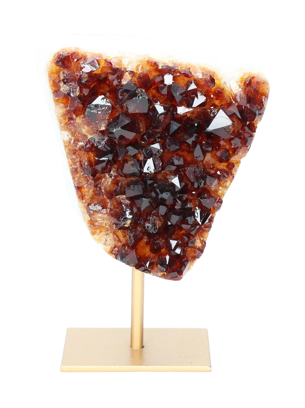 orbitvu|type:image2d