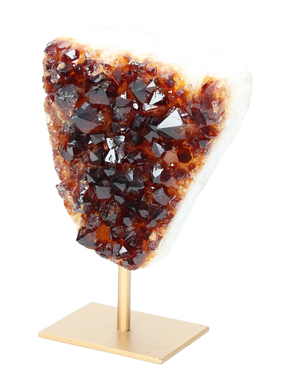 orbitvu|type:image2d