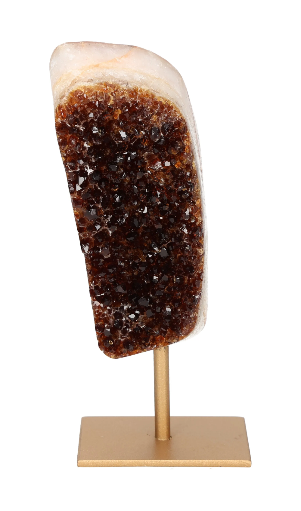 orbitvu|type:image2d