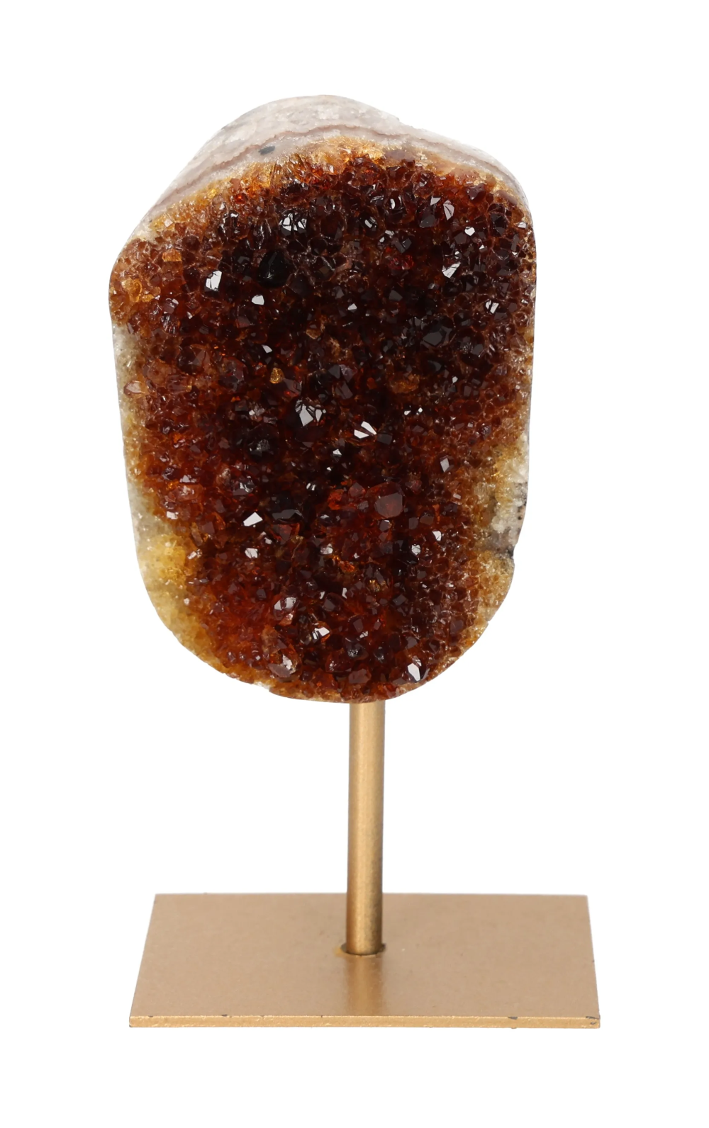 orbitvu|type:image2d