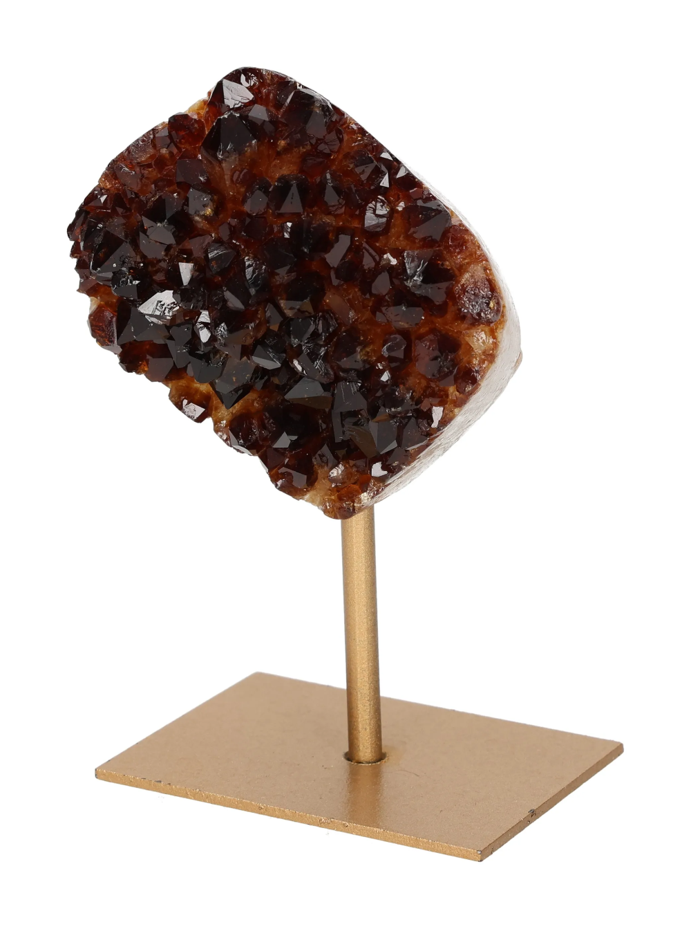 orbitvu|type:image2d