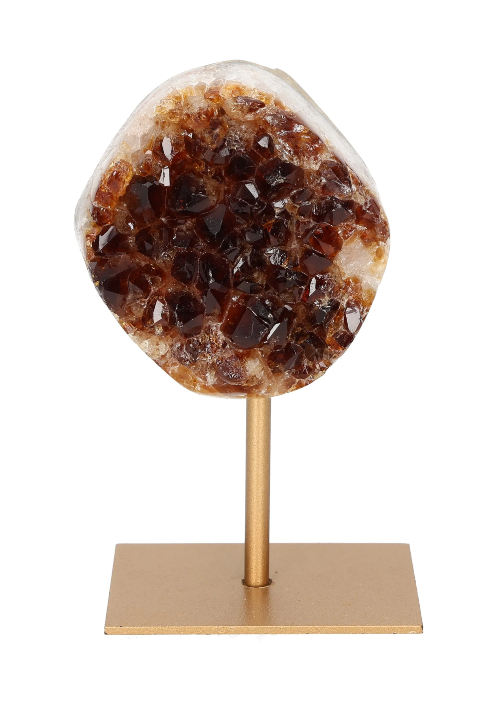 orbitvu|type:image2d