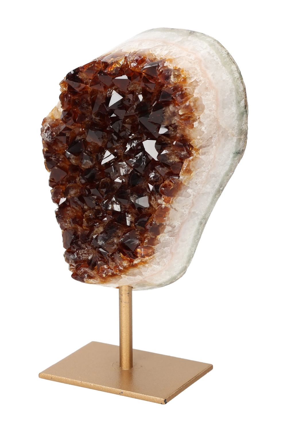 orbitvu|type:image2d