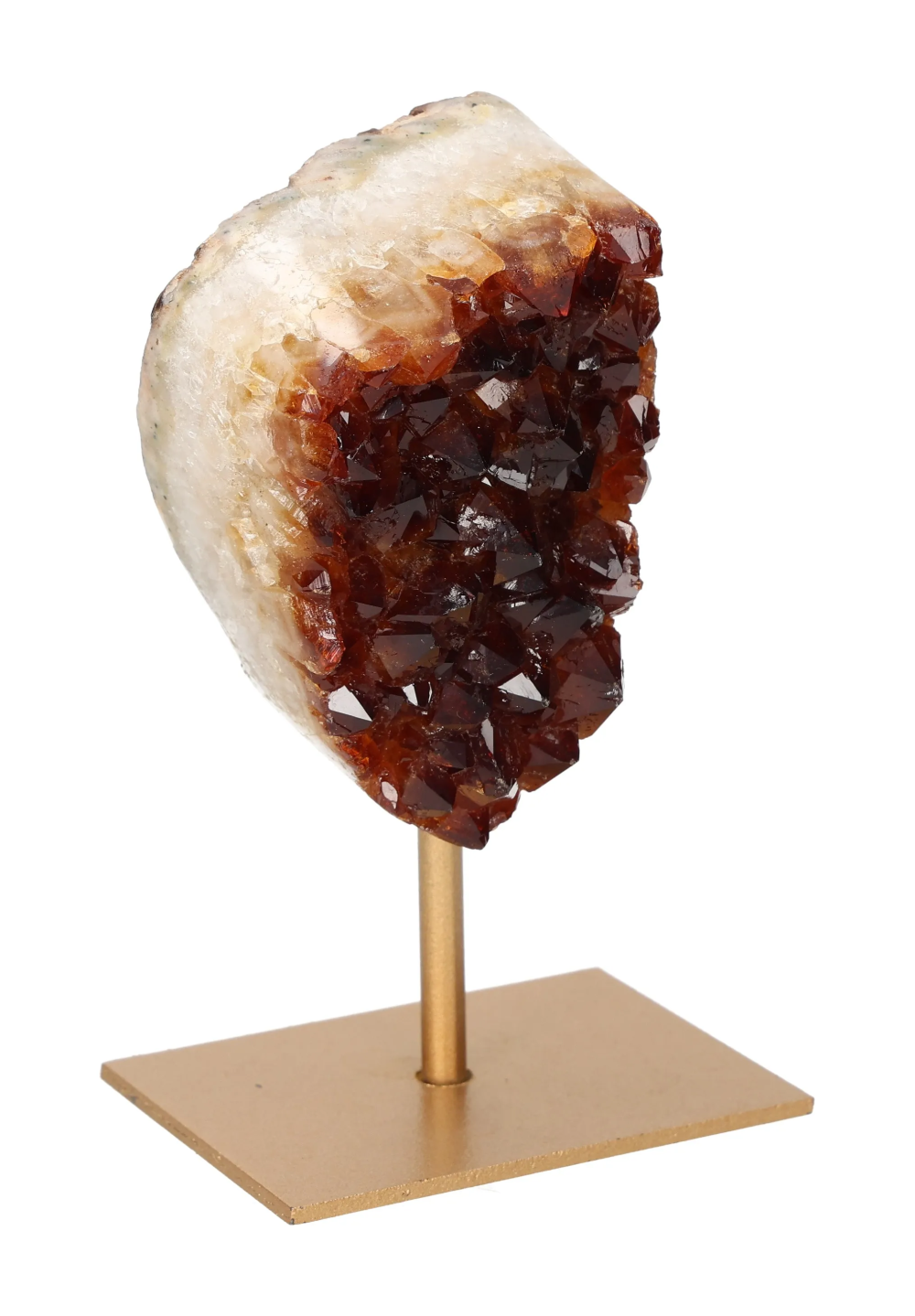 orbitvu|type:image2d