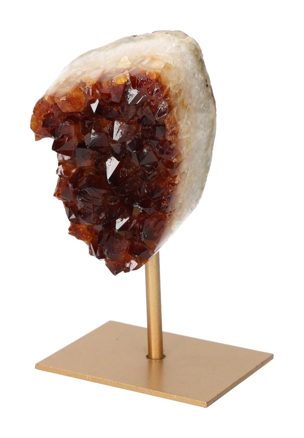 orbitvu|type:image2d