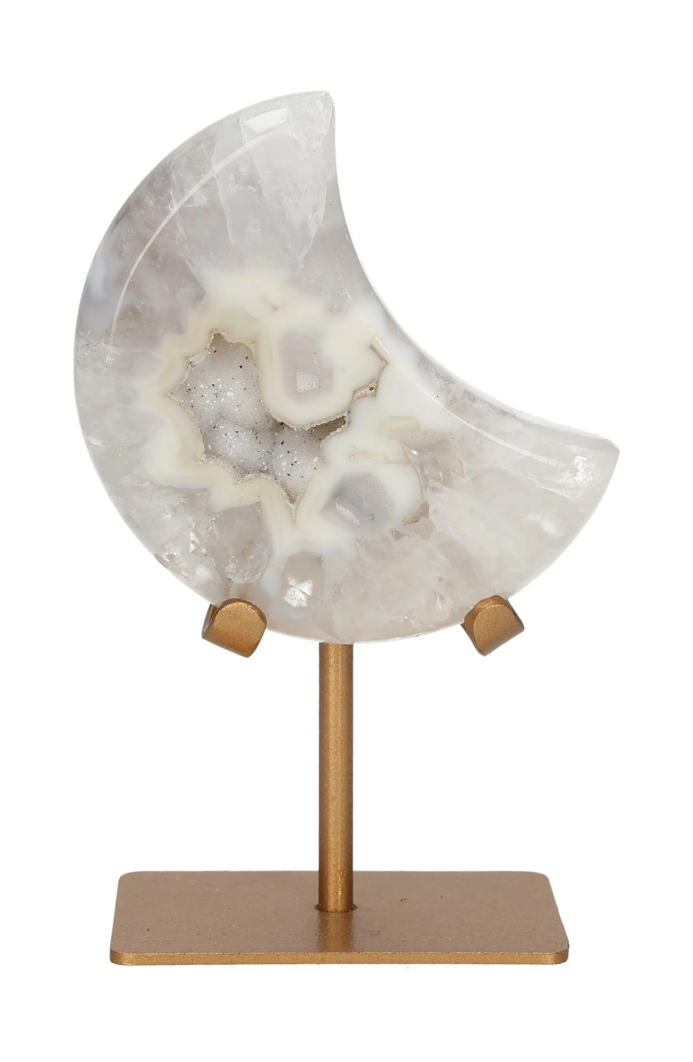 orbitvu|type:image2d