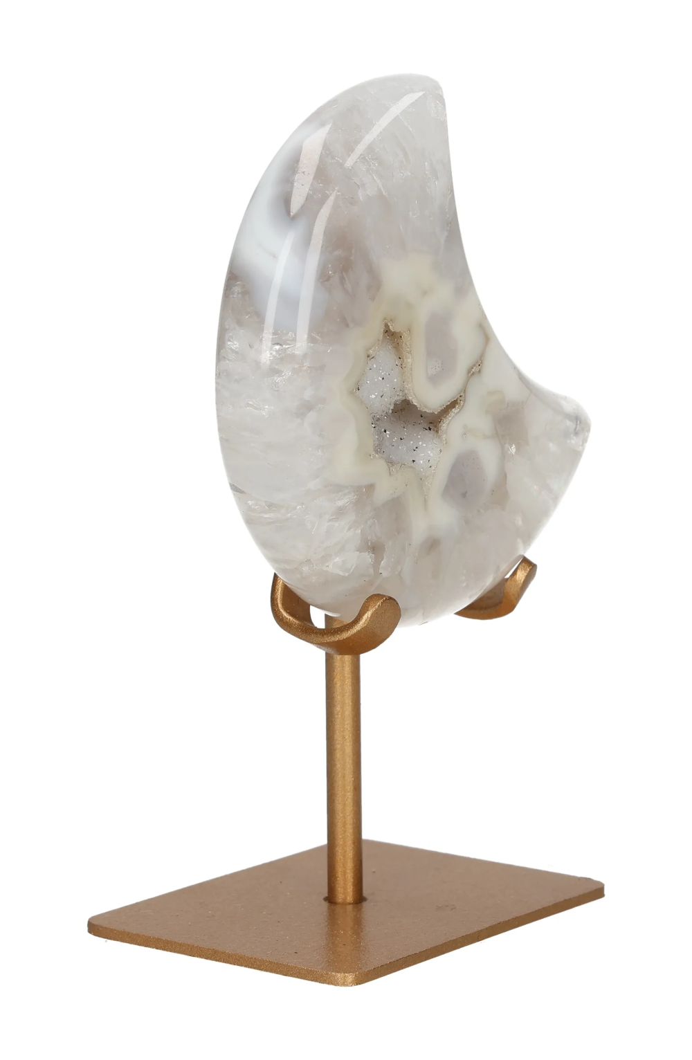 orbitvu|type:image2d