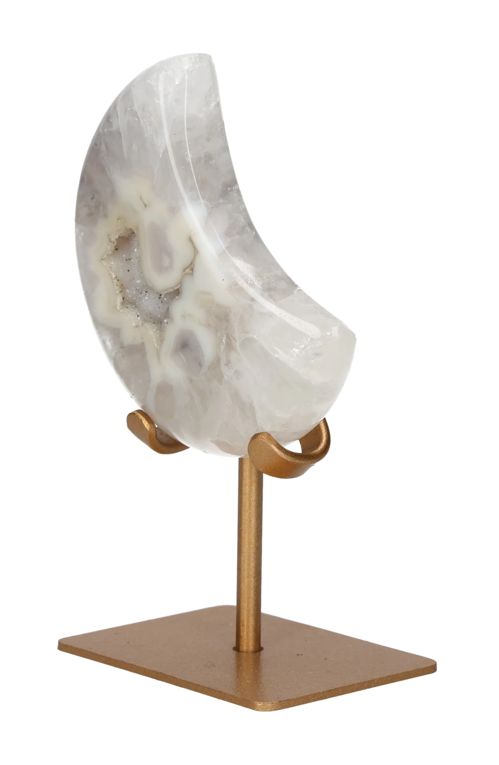 orbitvu|type:image2d