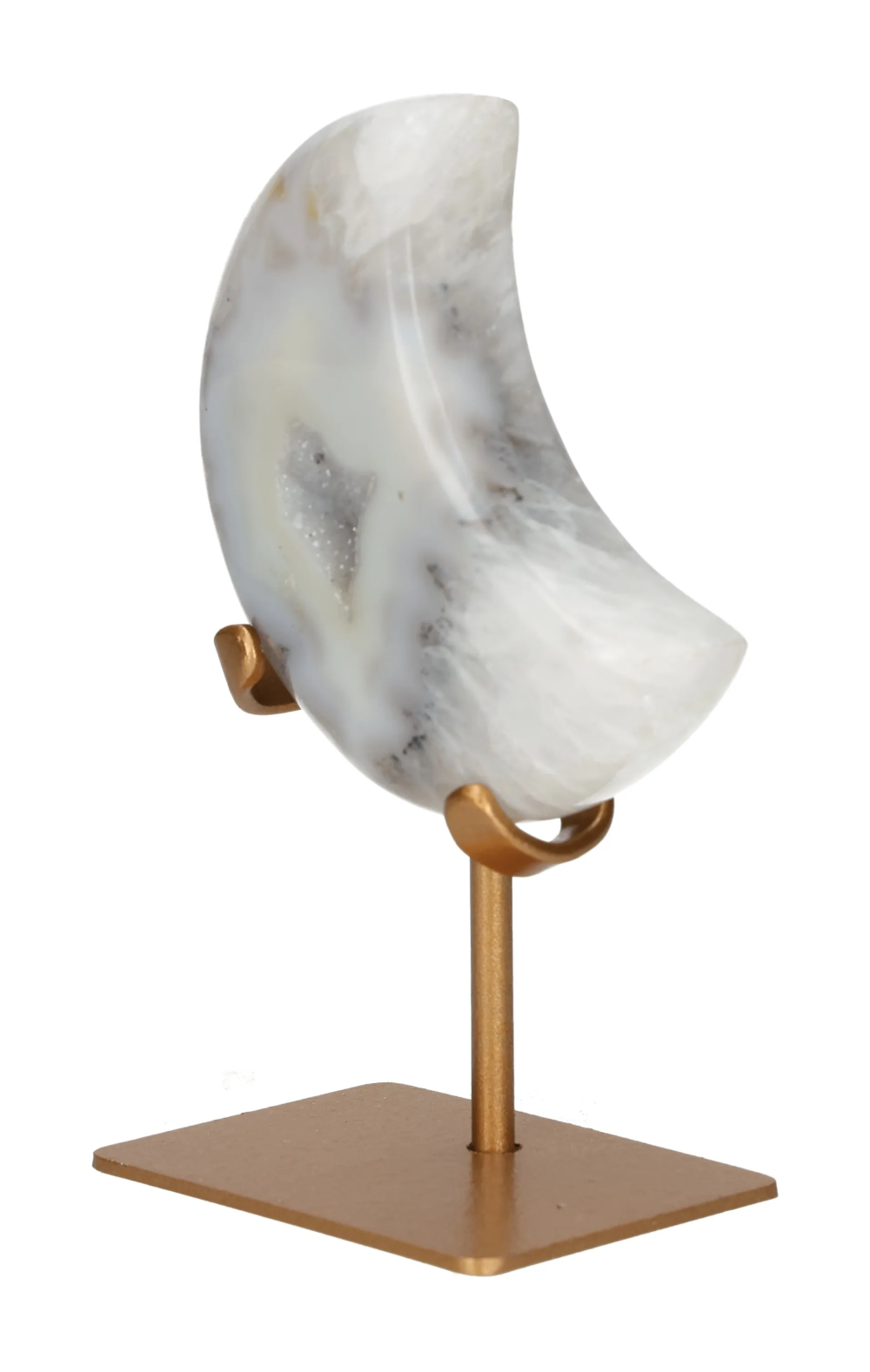 orbitvu|type:image2d