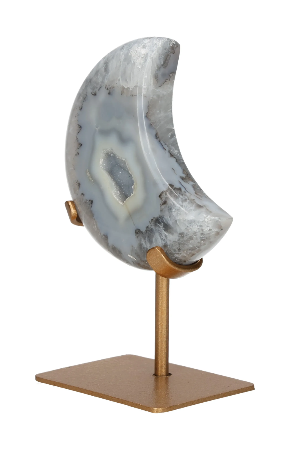 orbitvu|type:image2d