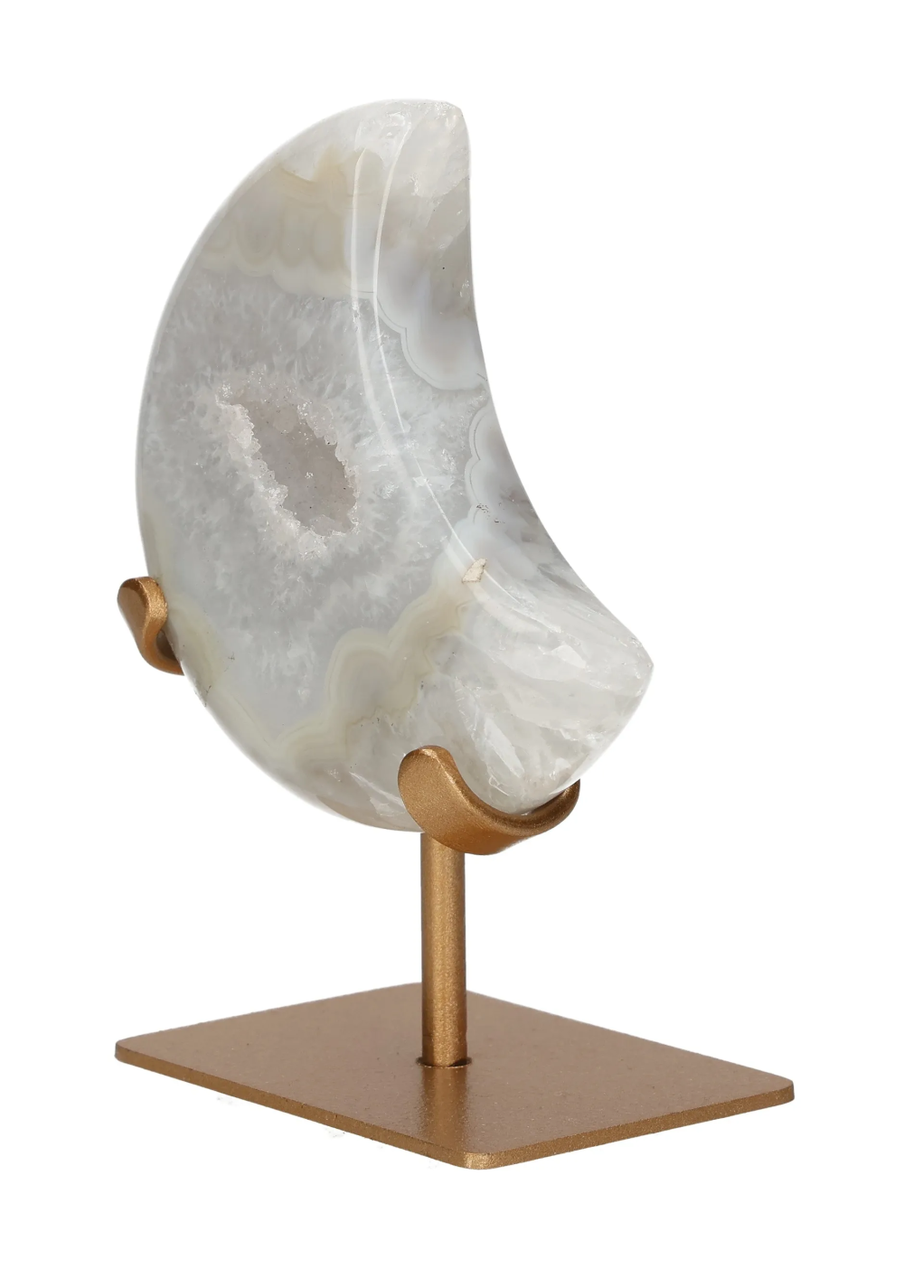 orbitvu|type:image2d