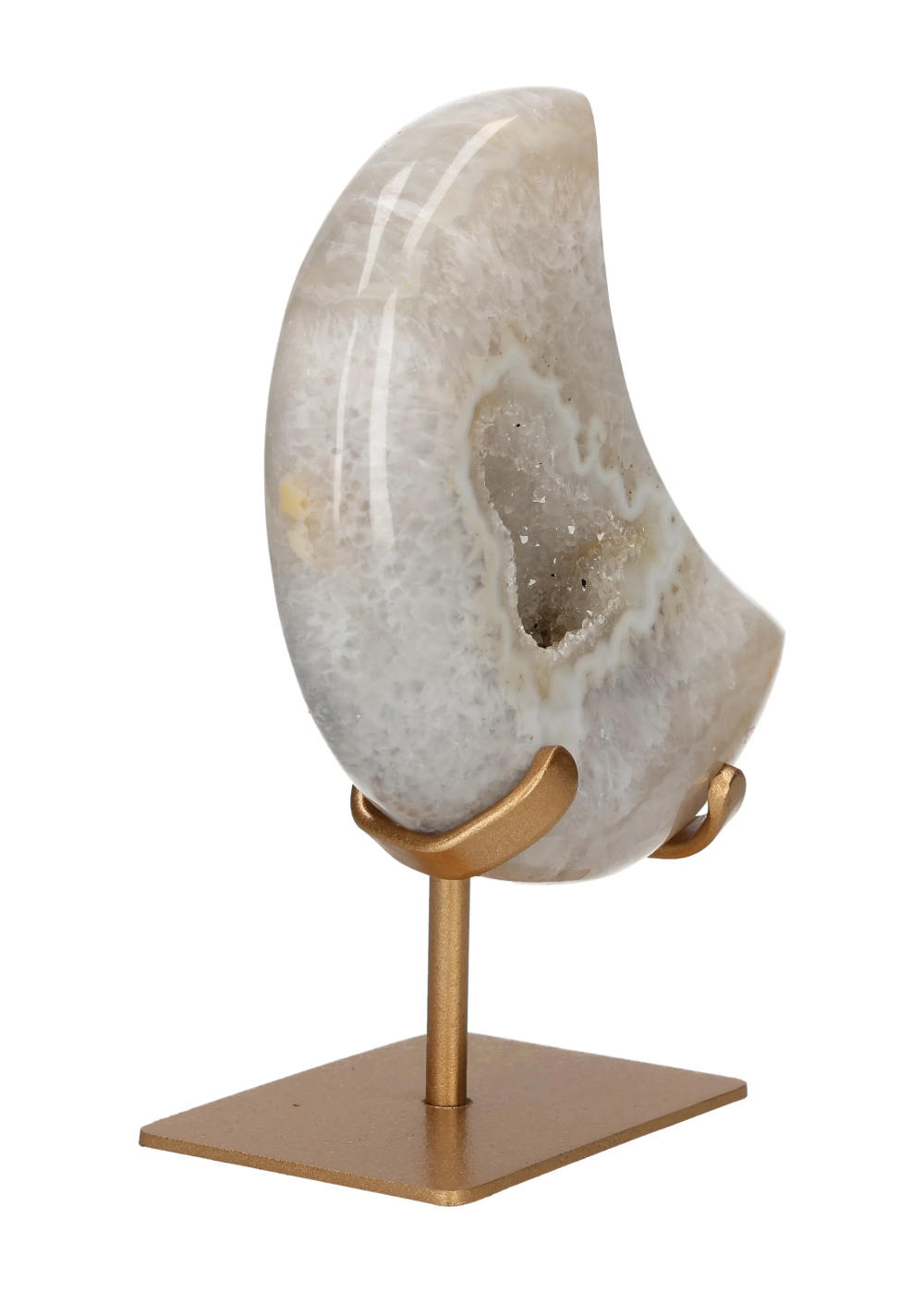 orbitvu|type:image2d