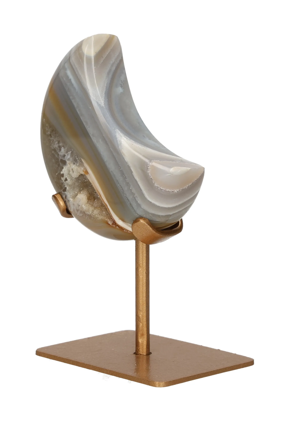 orbitvu|type:image2d