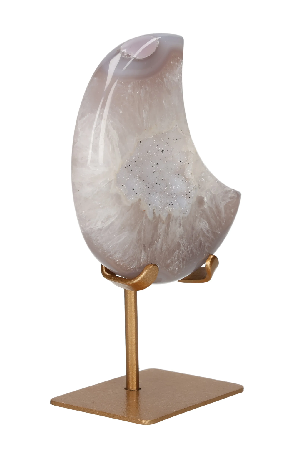 orbitvu|type:image2d