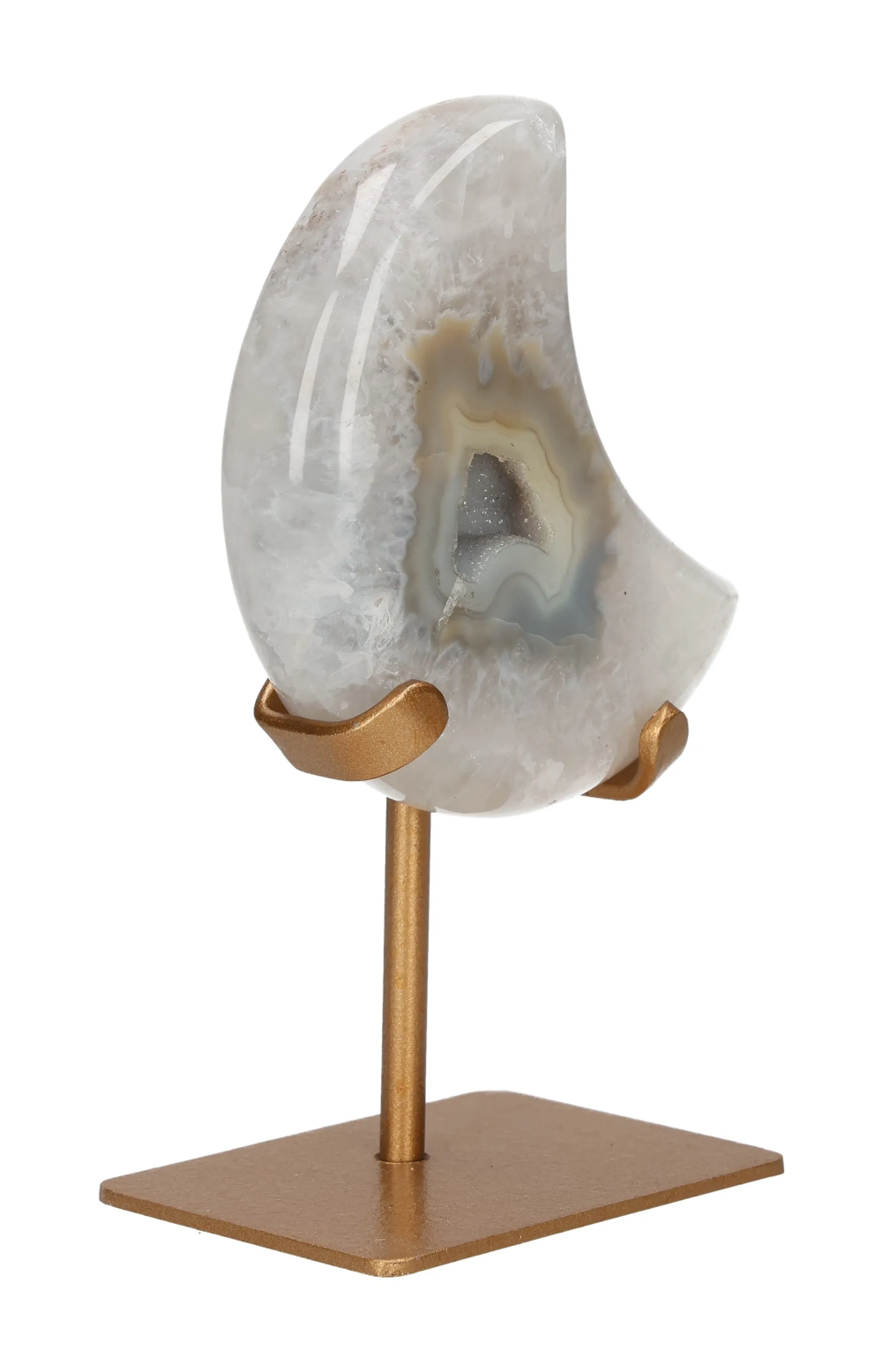 orbitvu|type:image2d