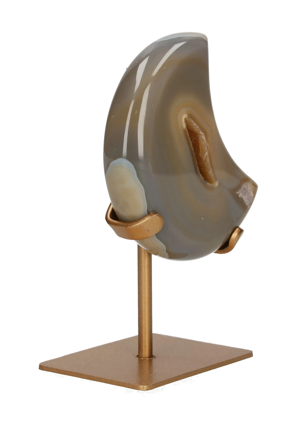 orbitvu|type:image2d