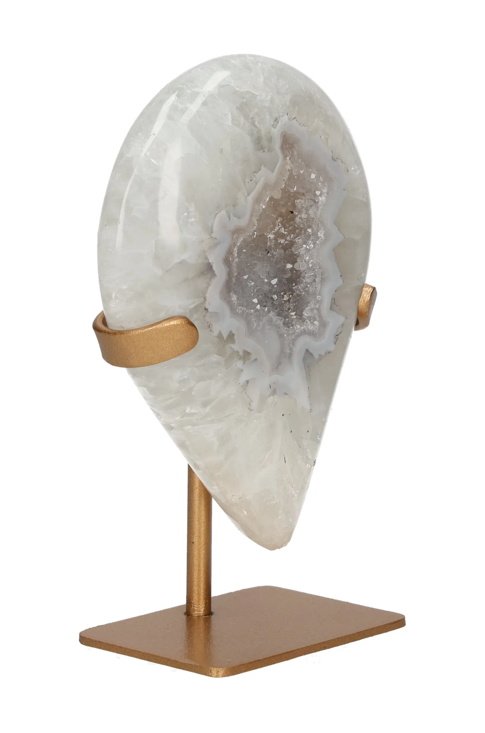 orbitvu|type:image2d