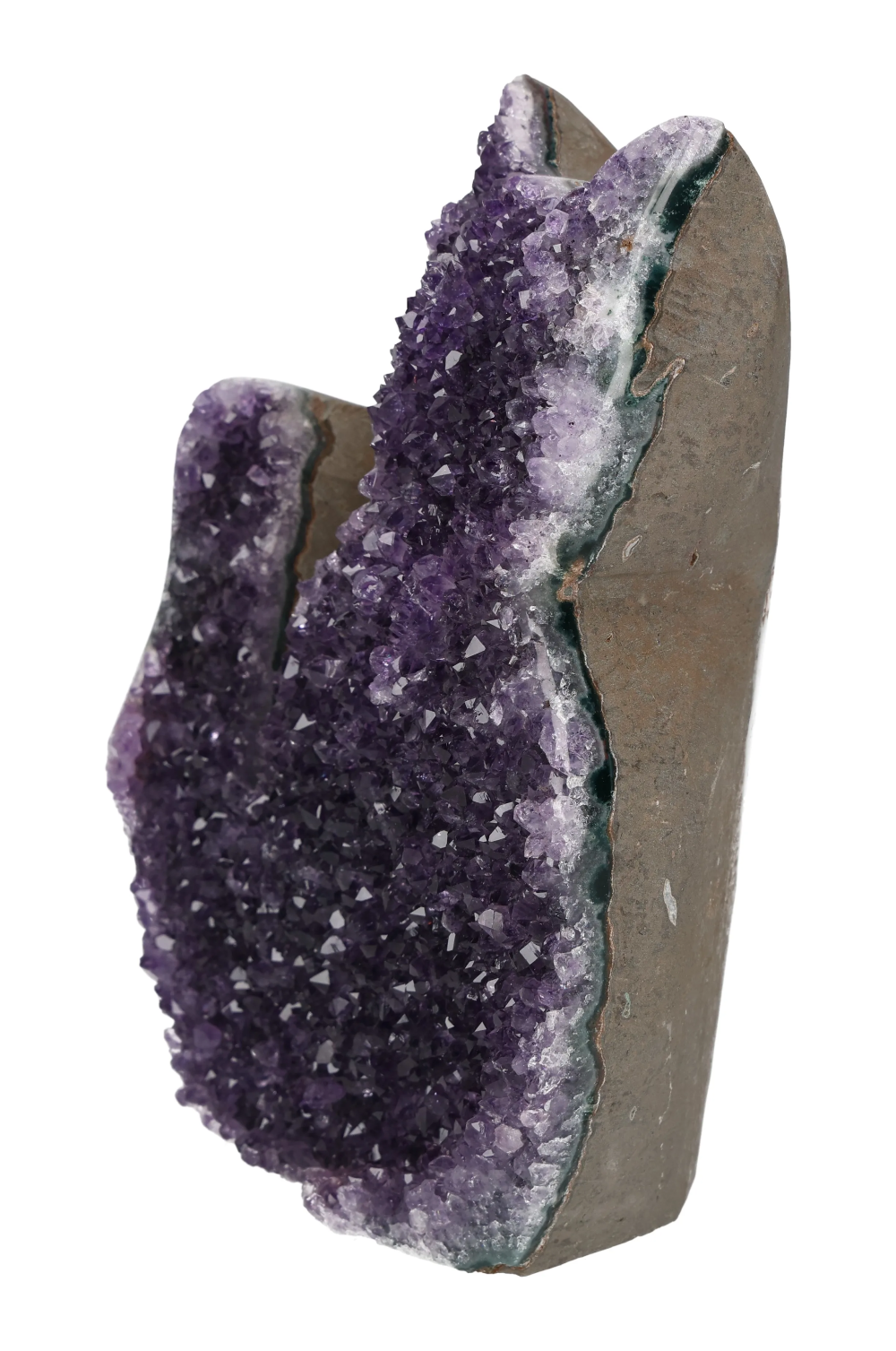 orbitvu|type:image2d