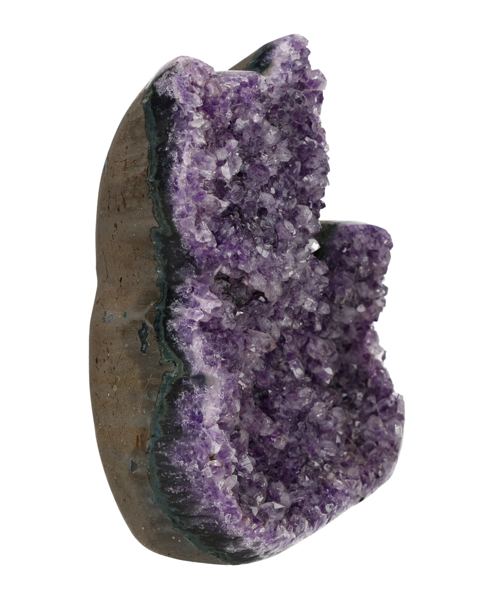 orbitvu|type:image2d