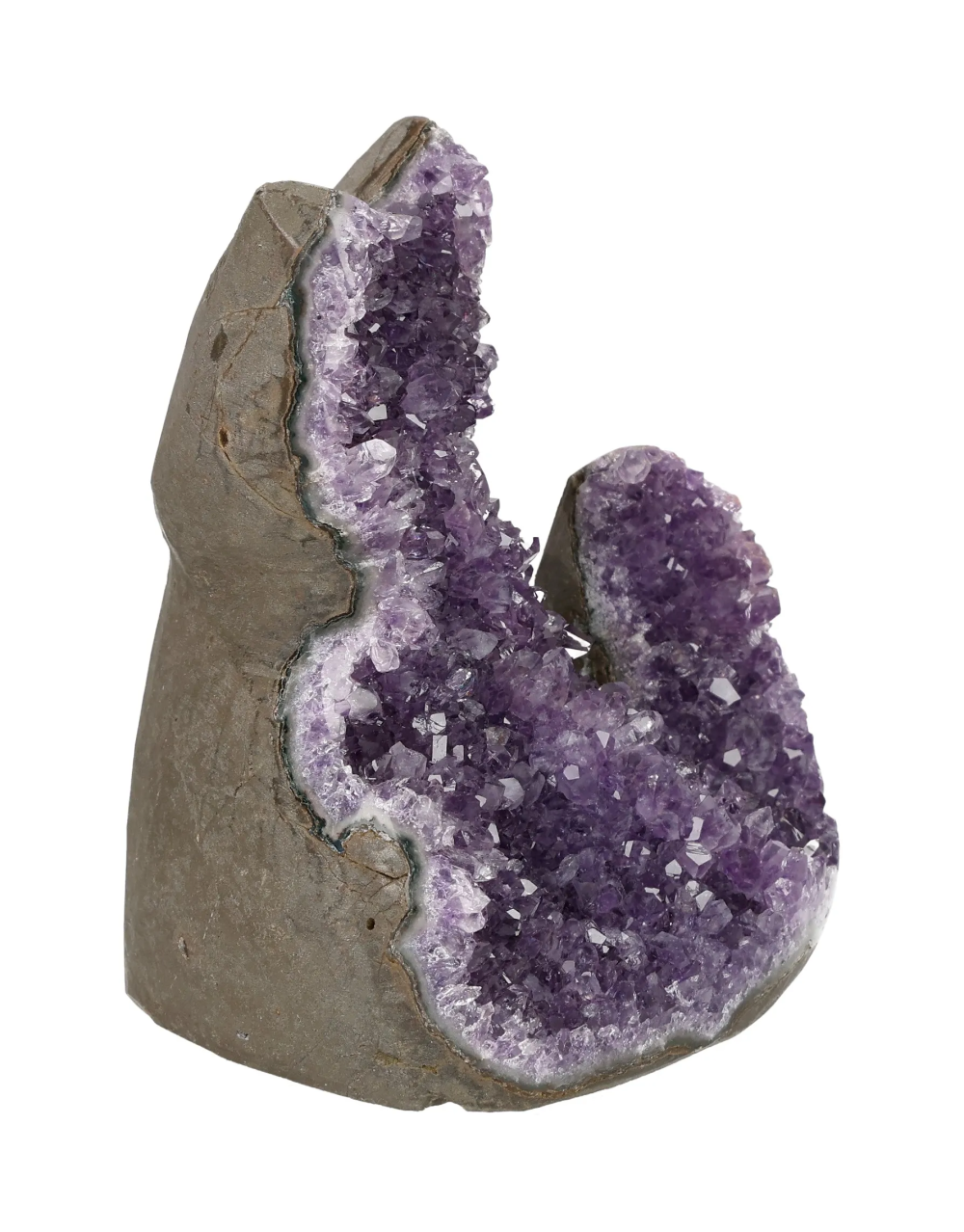 orbitvu|type:image2d