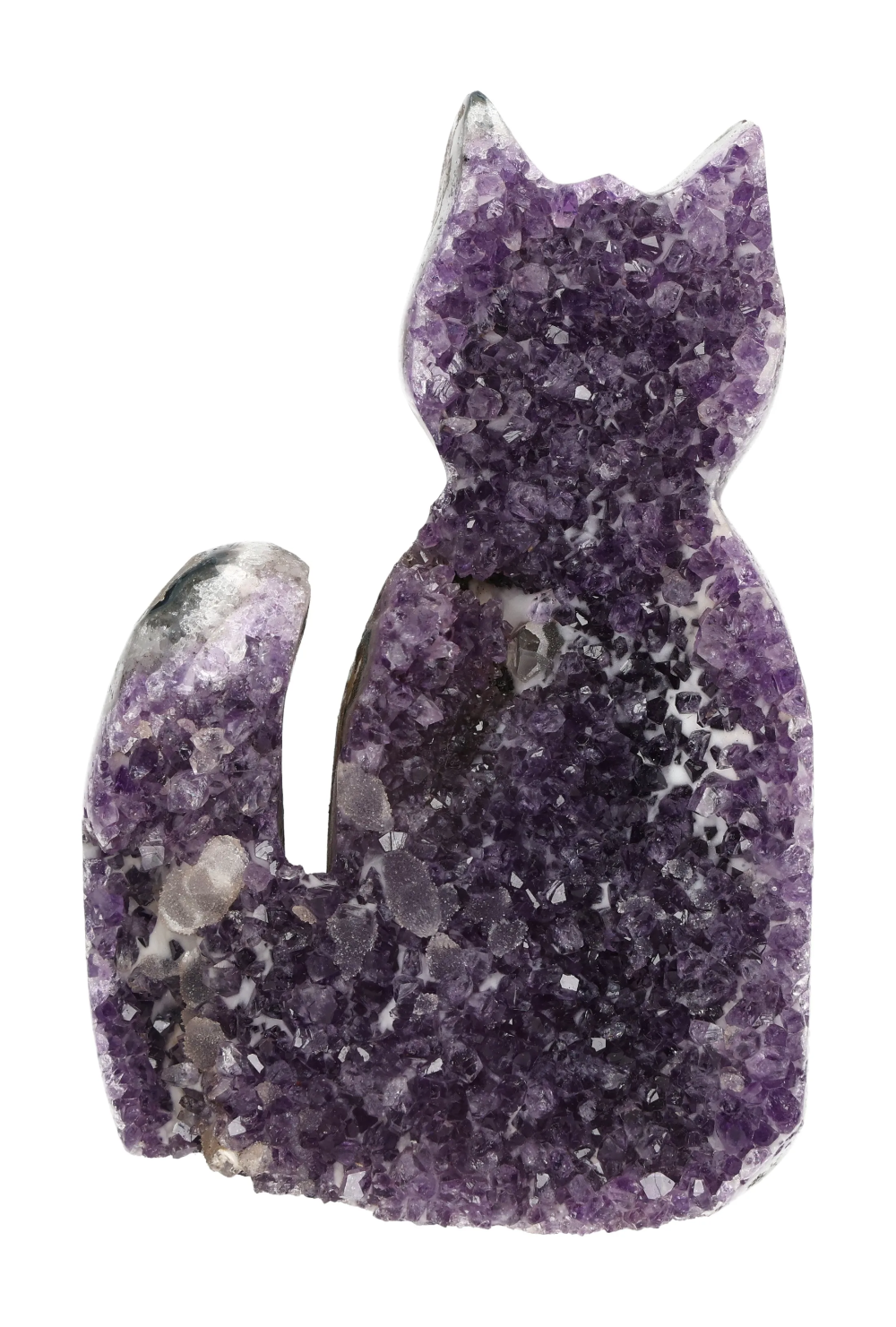 orbitvu|type:image2d