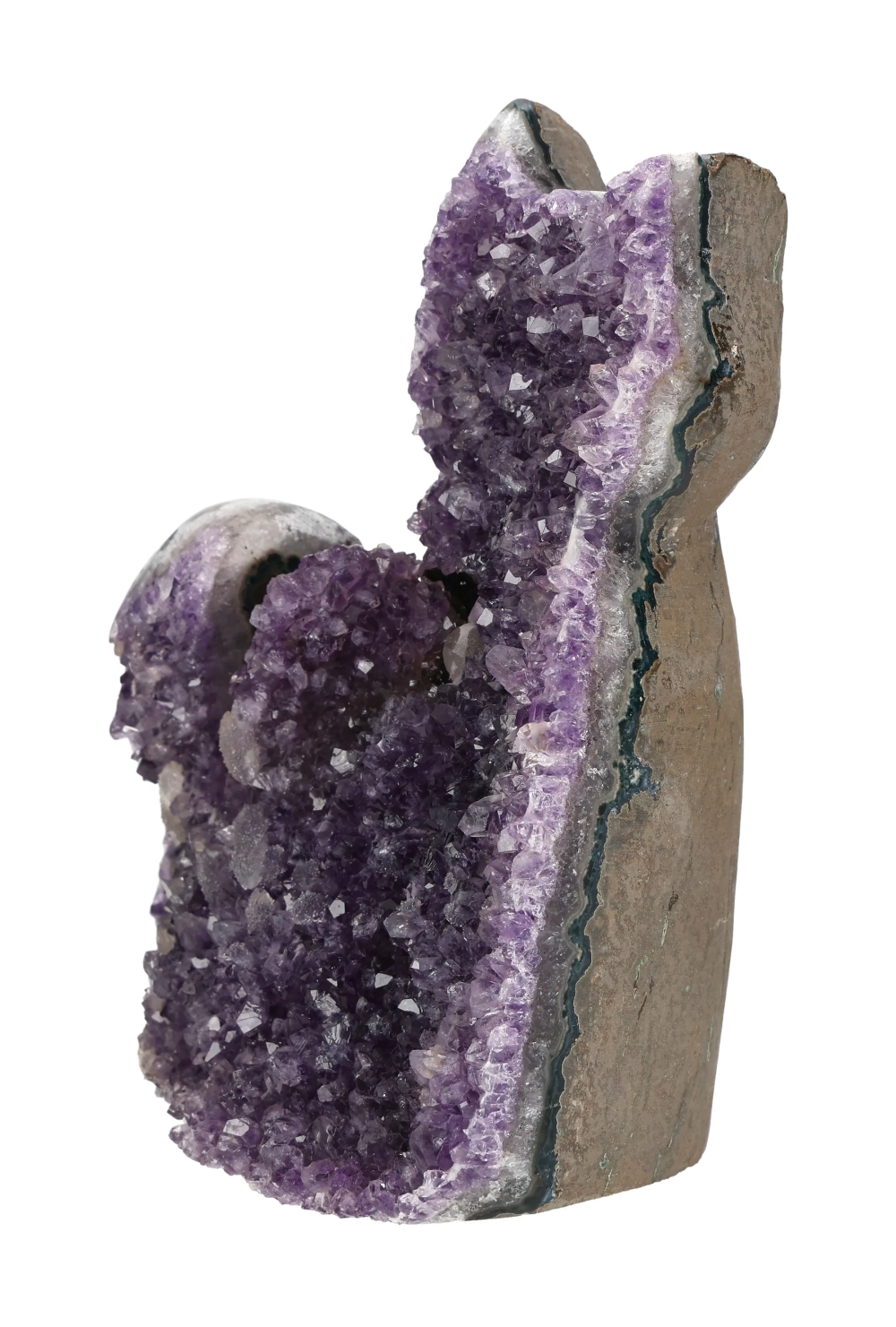 orbitvu|type:image2d