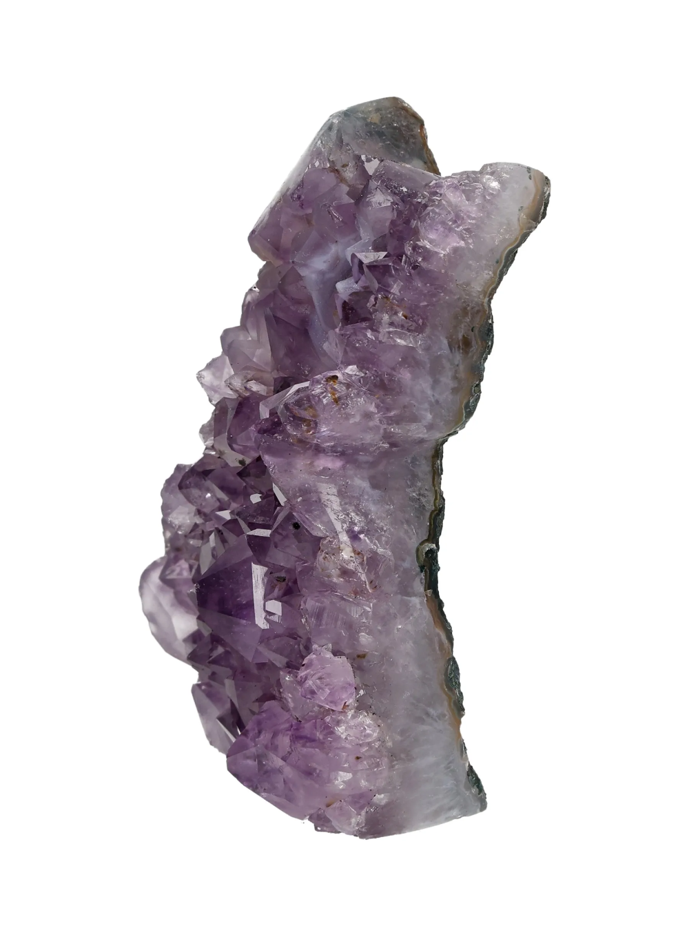 orbitvu|type:image2d