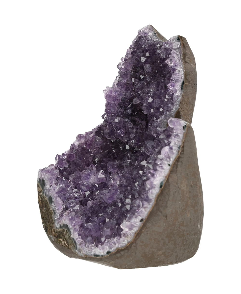 orbitvu|type:image2d