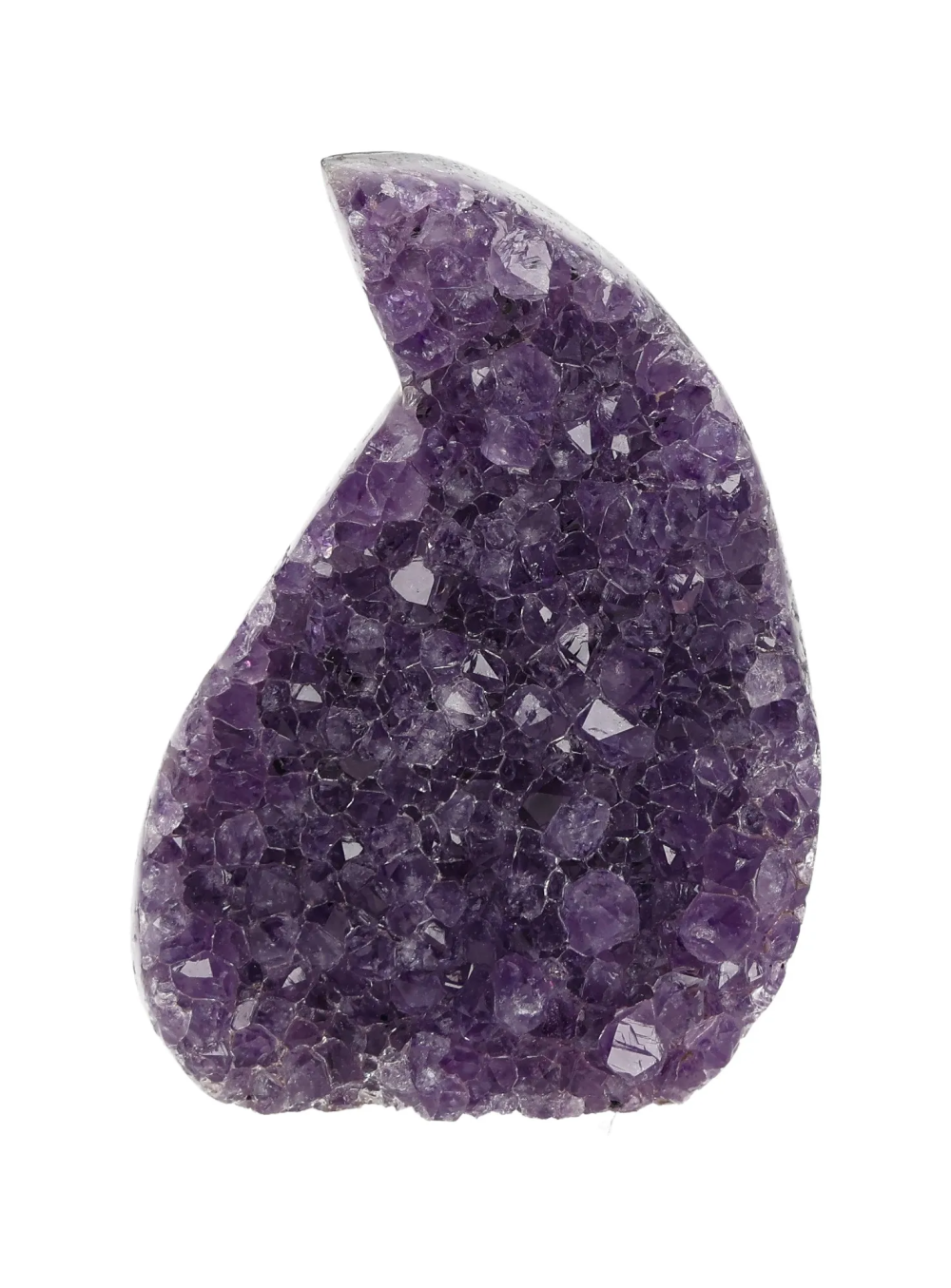 orbitvu|type:image2d